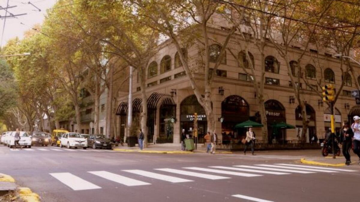 Aberrante hallazgo: encontraron un feto en pleno centro de Mendoza