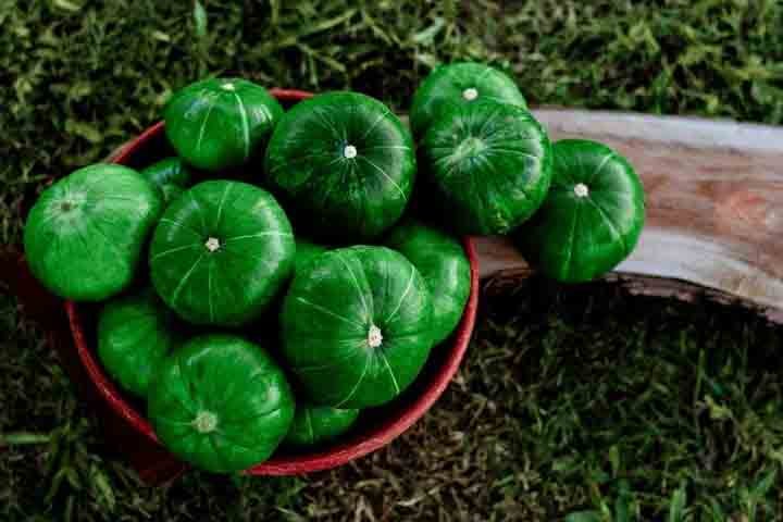 Receta de tarta de zapallitos verdes