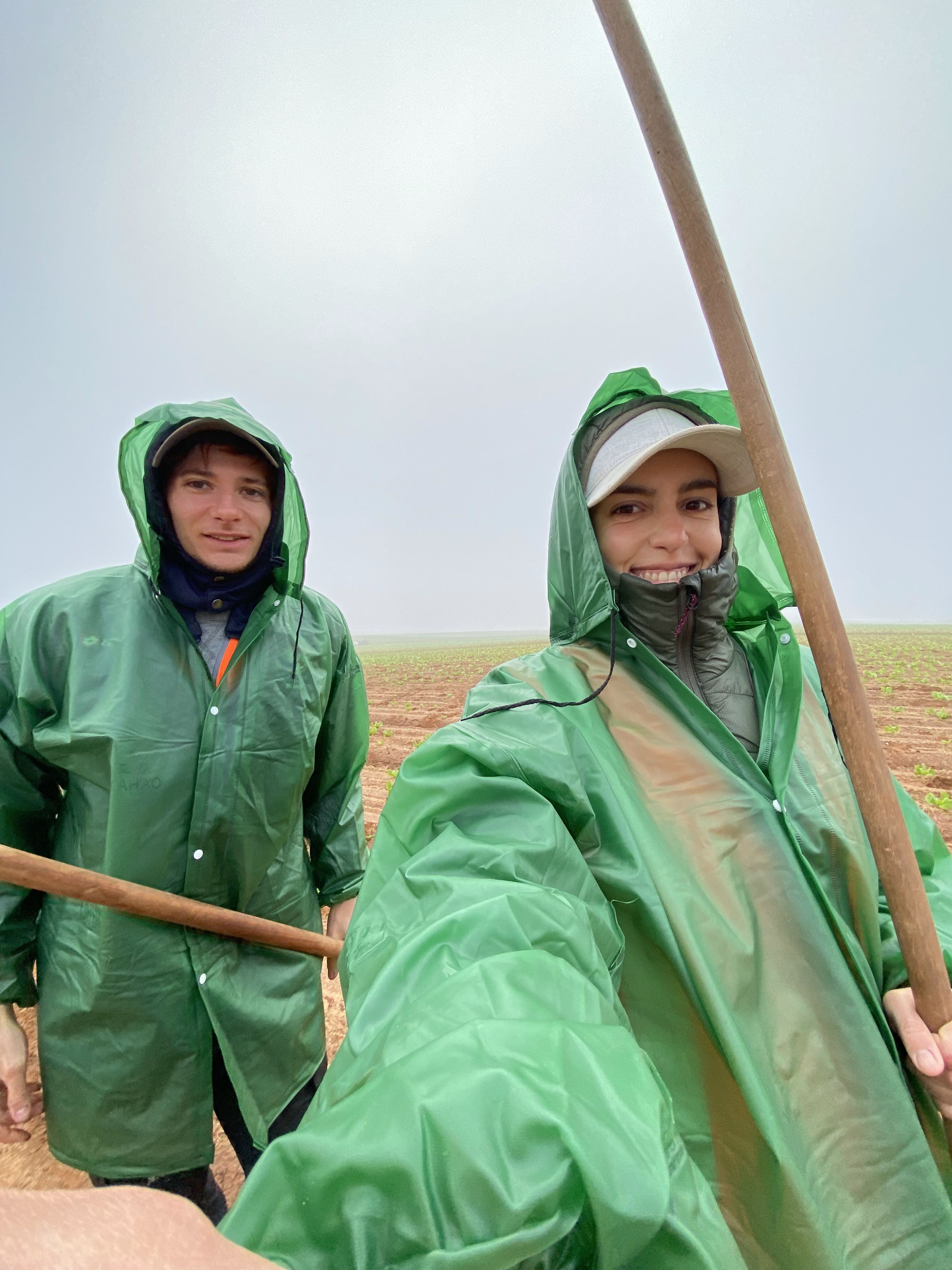 Los entrerrianos trabajando en el campo.