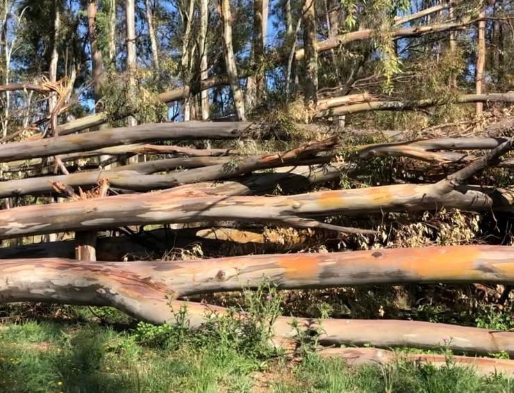 Se finalizó el trabajo de mantenimiento y seguridad en el predio del Parque Cabañas de Tres Arroyos