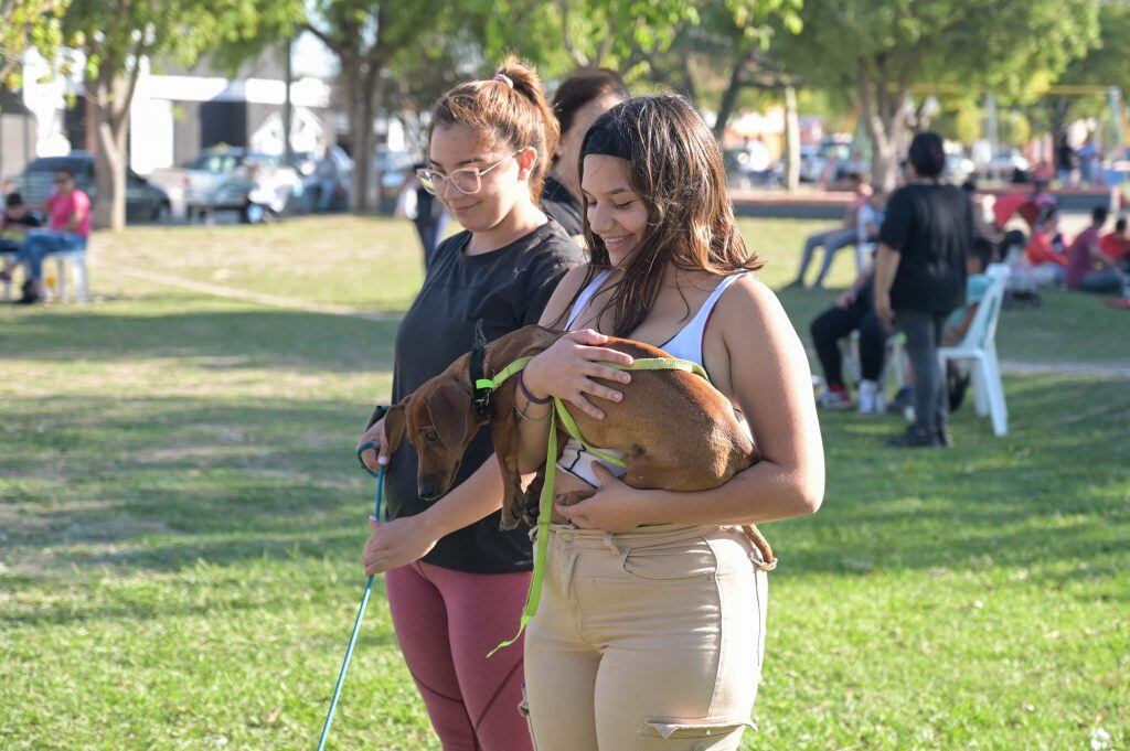 Día del animal en Arroyito 2023