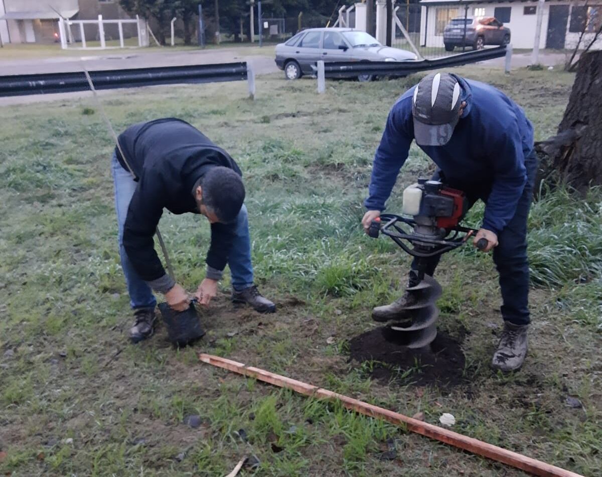 Tres Arroyos: plantan fresnos en el predio de la Cabina Sanitaria