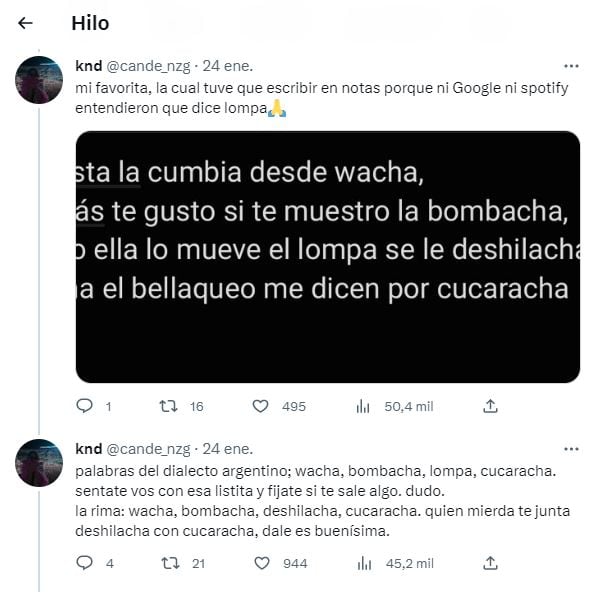 Una estudiante de letras analizó las canciones de La Joaqui y se volvió viral