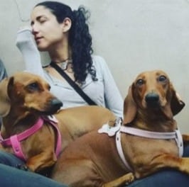 Melissa y sus dos perros fallecieron producto del monóxido de carbono.