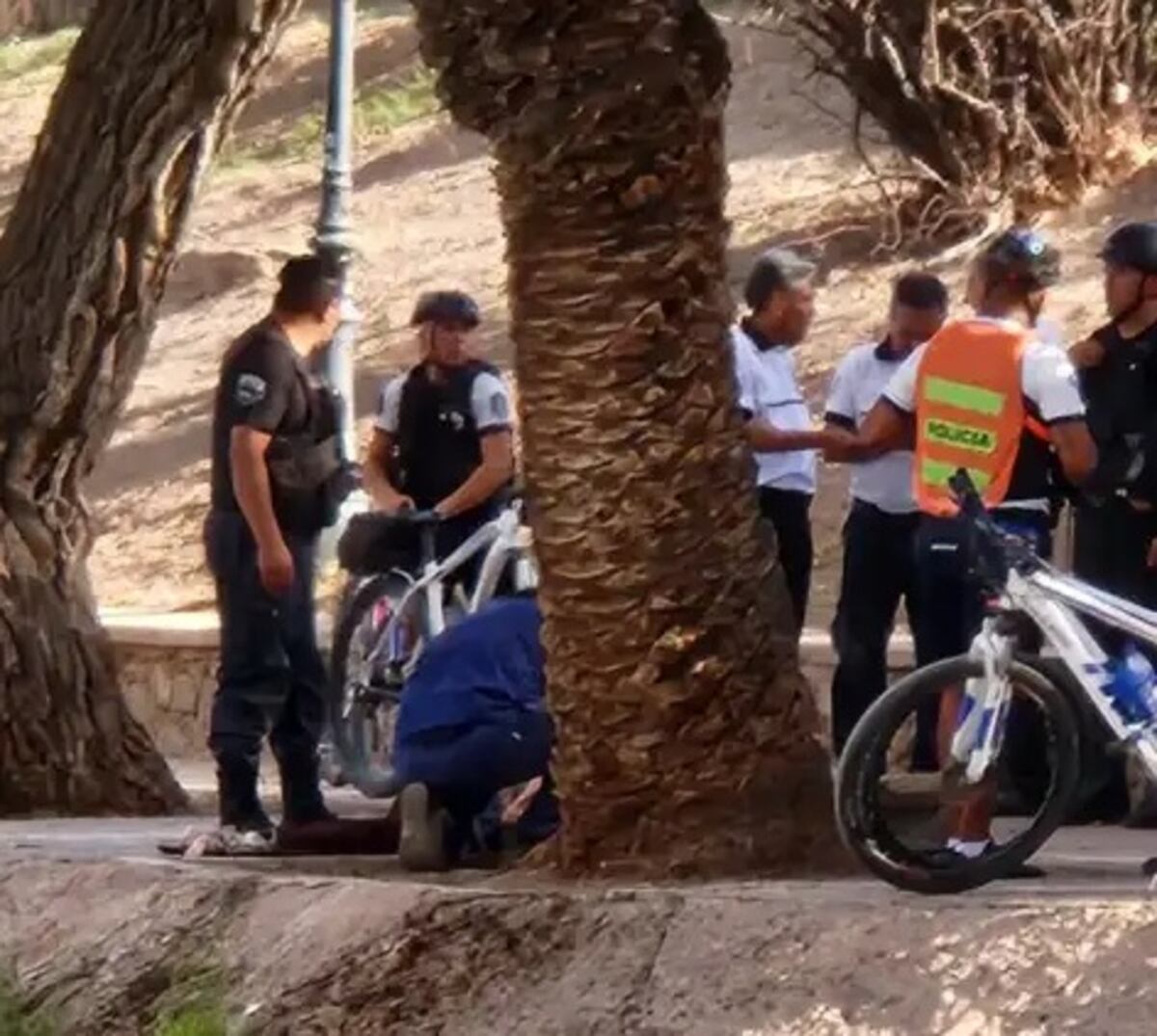Una mujer cayó al Lago del Parque de Mendoza y la rescató un hombre que practicaba remo