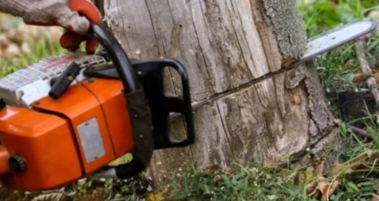 San Pedro: motosierrista falleció aplastado por un árbol.