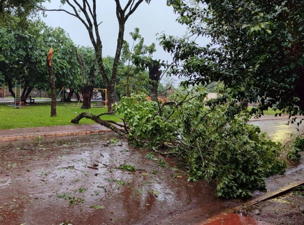 Violento temporal azotó el centro de Misiones