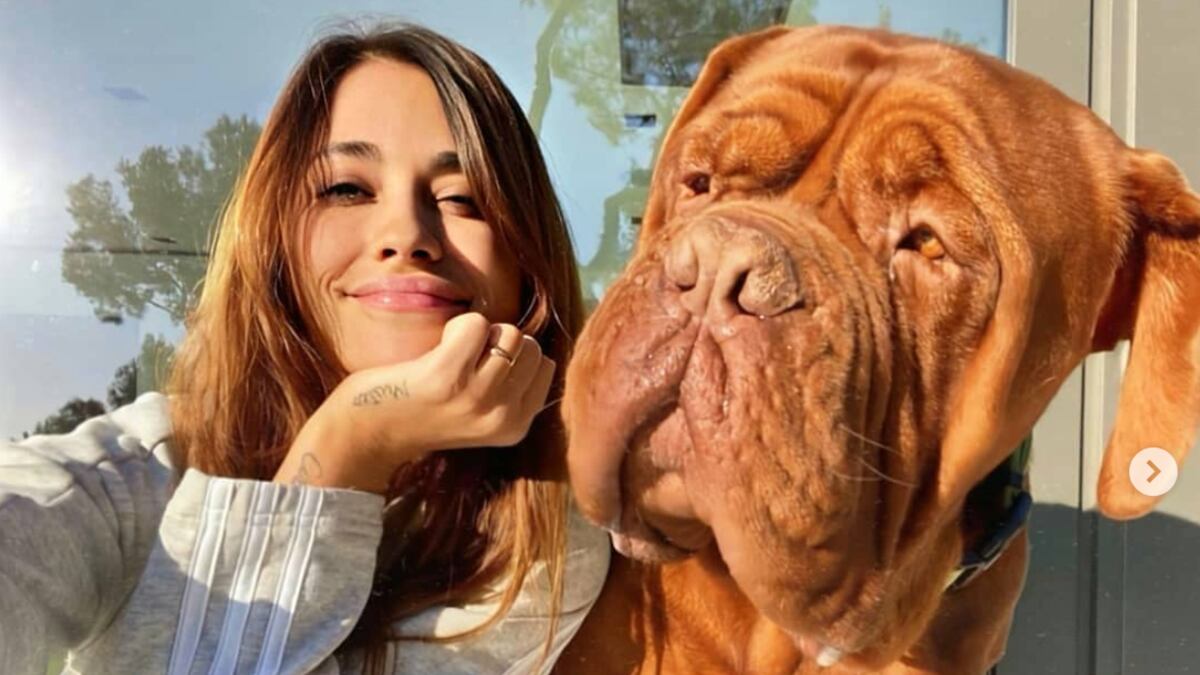 Rendido a sus pies: Antonela Roccuzzo mostró el gesto de amor perruno de Hulk