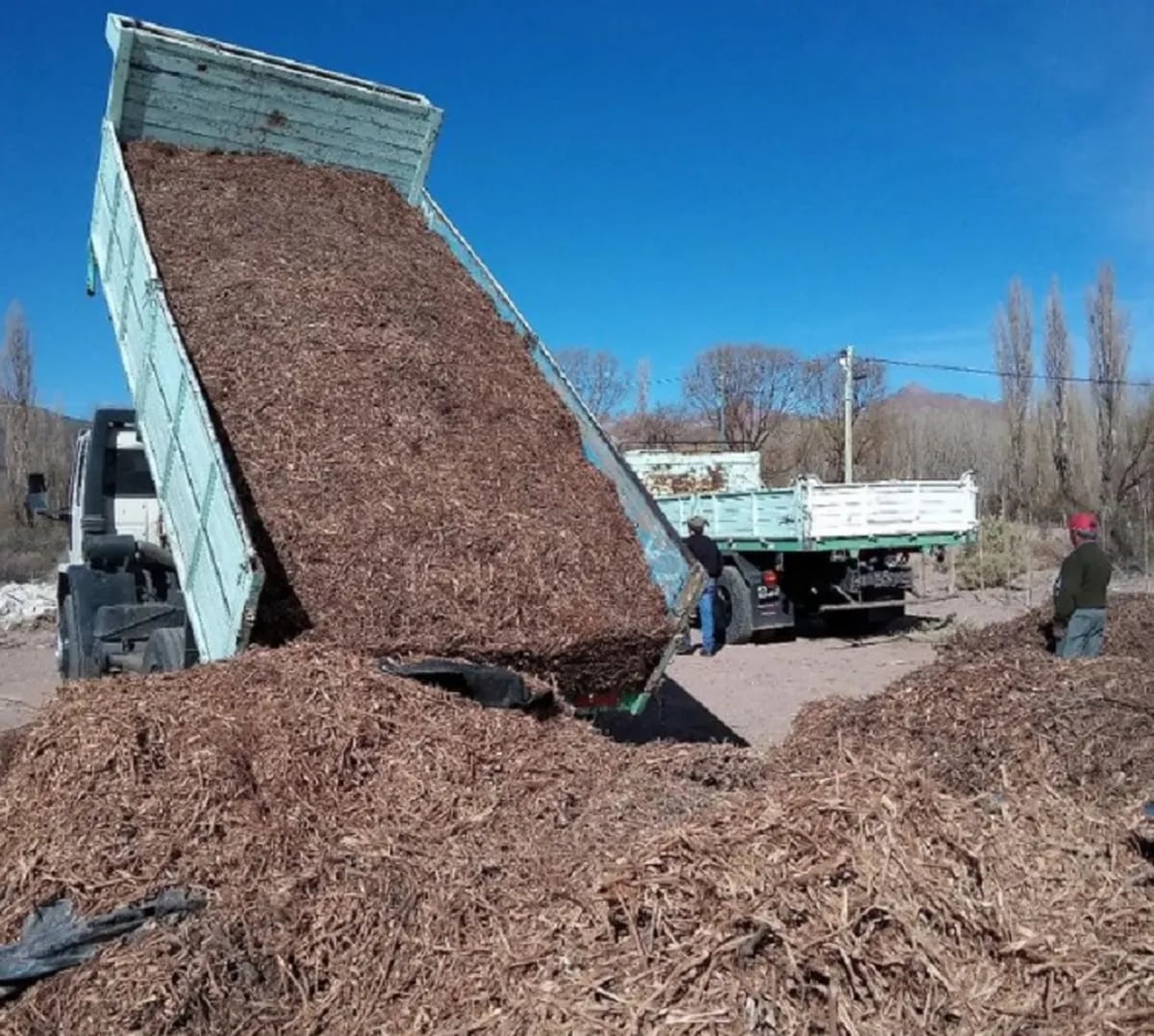 Miguel, el mendocino que fabrica leña ecológica para luchar contra la deforestación y cuidar el planeta