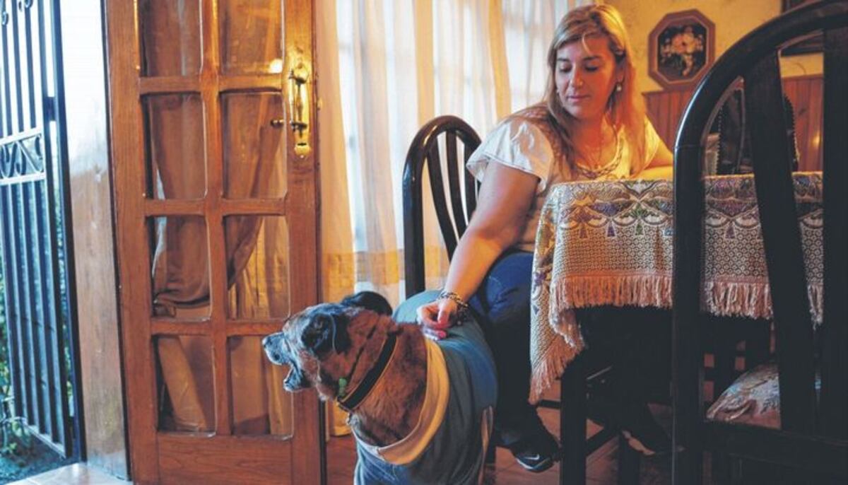 La historia de la primera “tutora” legal de un perro y el caso de “Dardo”, la mascota callejera que conmovió a Salta