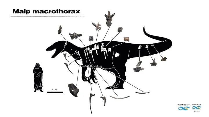 El nombre del dinosaurio fue elegido por el investigador del CONICET que lo encontró. Hace referencia a un ser de la mitología Tehuelche que mataba con el frío y vivía en una cordillera.