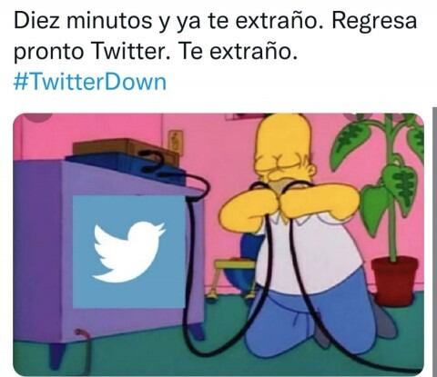 Estallaron las redes por la caída de Twitter