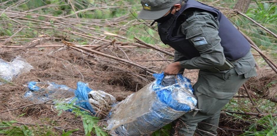 Gendarmería Nacional decomisó más de una tonelada de droga en Puerto Esperanza.