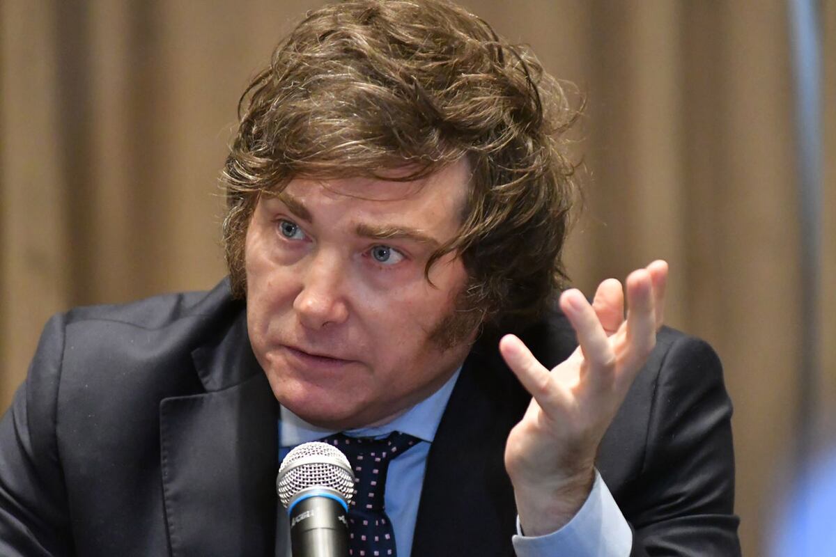 Javier Milei: “El país entró en una etapa de decadencia permanente”