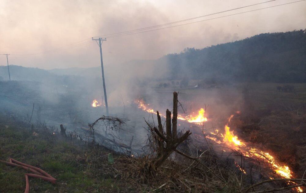 Nuevos focos de incendio en El Soberbio.