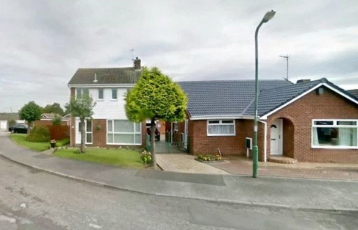 Inglaterra: cortaron el árbol del vecino a la mitad porque les molestaban las hojas