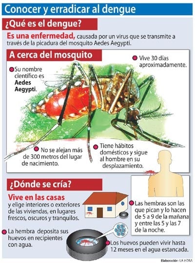 Dengue