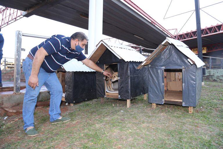 Los turistas se acercan a preguntar por las casitas de los perros que ya son las mascotas de la Terminal.