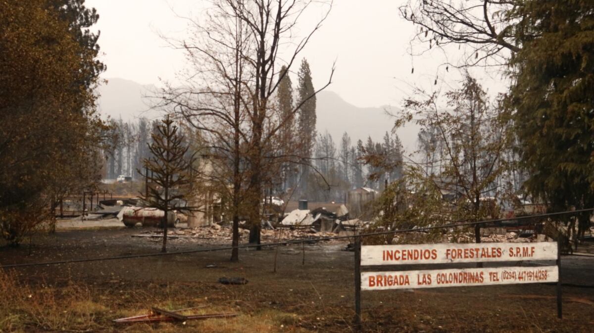 Las imágenes desoladoras que dejó el incendio en la Comarca Andina