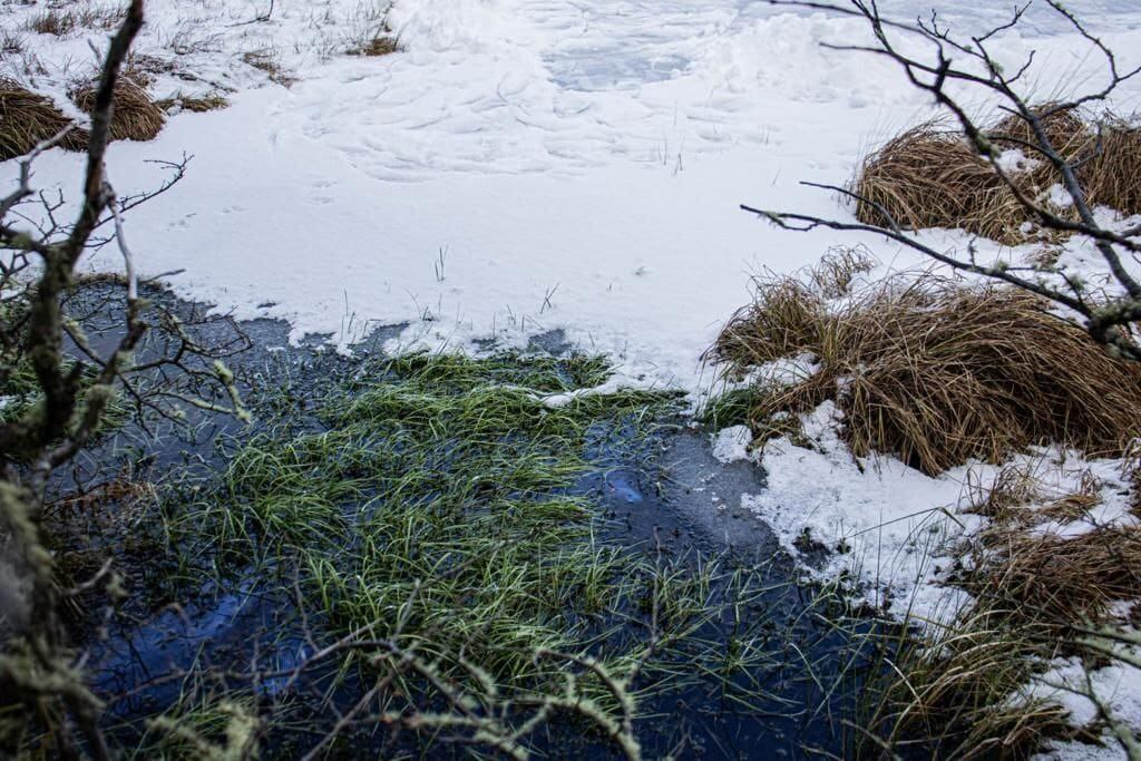 Recordar: se encuentra prohibido patinar en la Laguna del Diablo