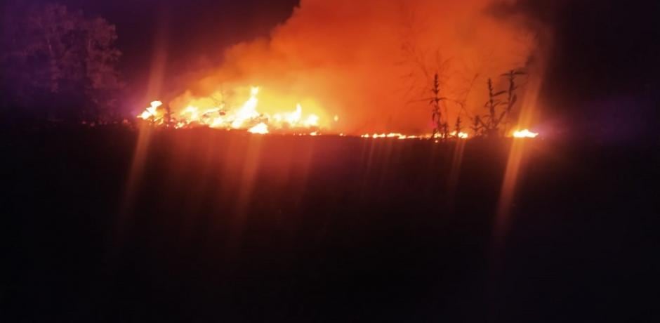 Eldorado: quema de residuos casi provoca una tragedia forestal.