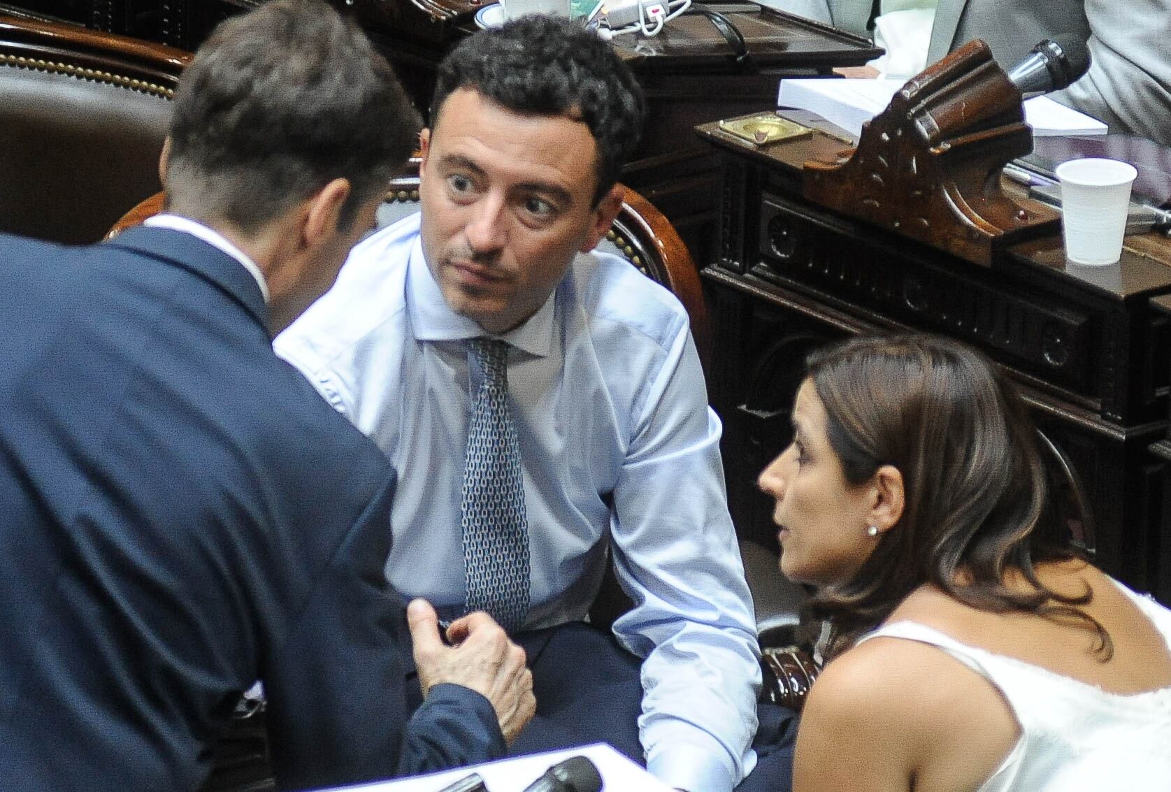 Rodrigo De Loredo, titular del bloque de la UCR (Foto: Federico López Claro)