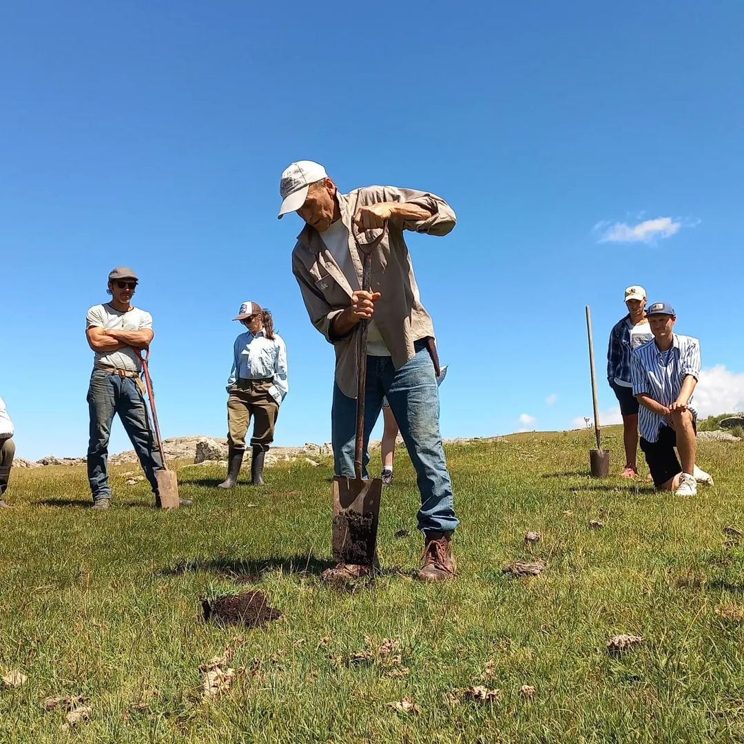 Un proyecto ecológico que apunta a reforestar las Sierras Grandes de Córdoba.