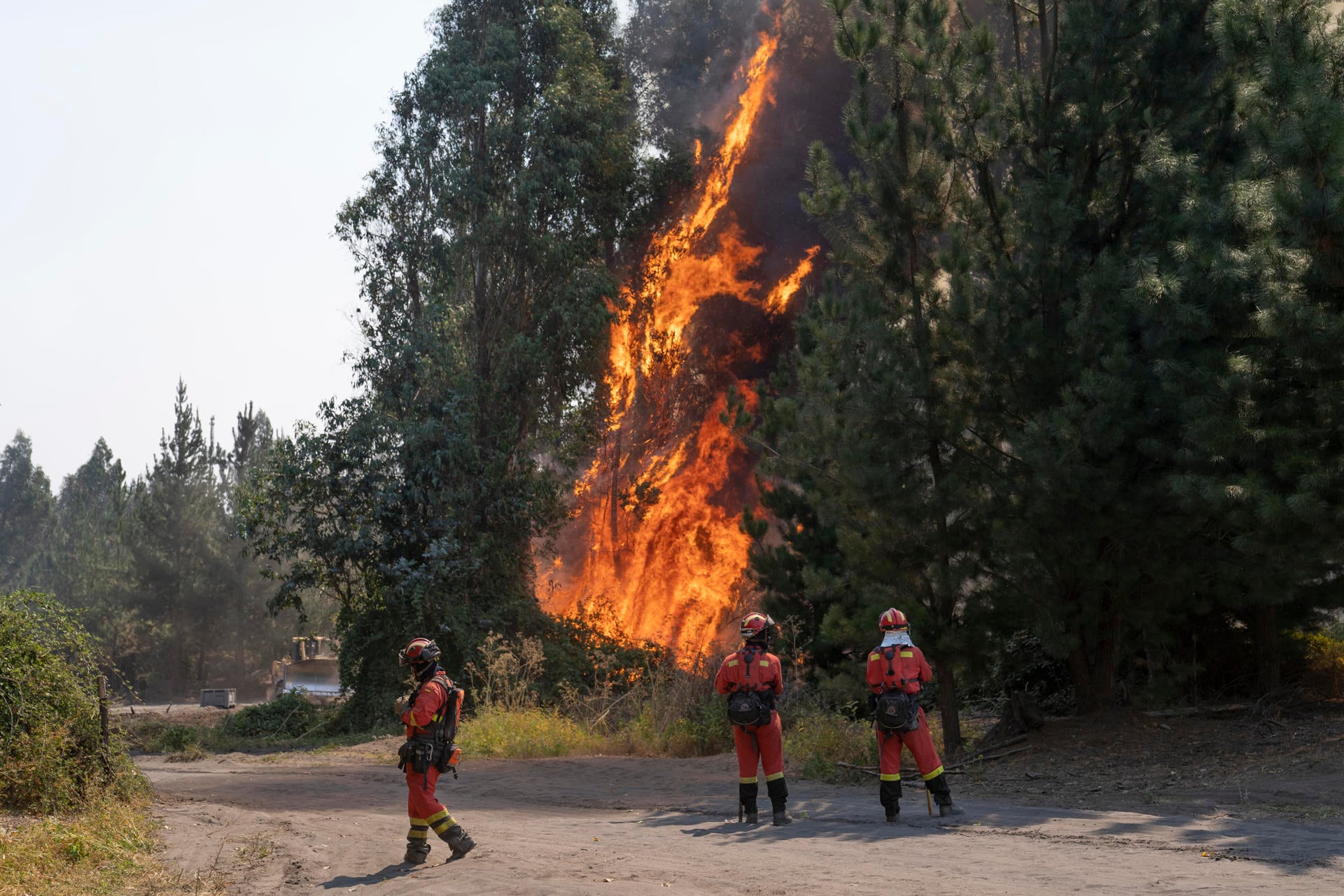 Los brigadistas internacionales llegados desde España y México para apoyar a Chile comenzaron hoy a desplegarse y actuar en la región central de Biobío, situada a unos 500 kilómetros al sur de la capital y epicentro de la oleada de incendios forestales que padece el país, la más devastadora en décadas.
