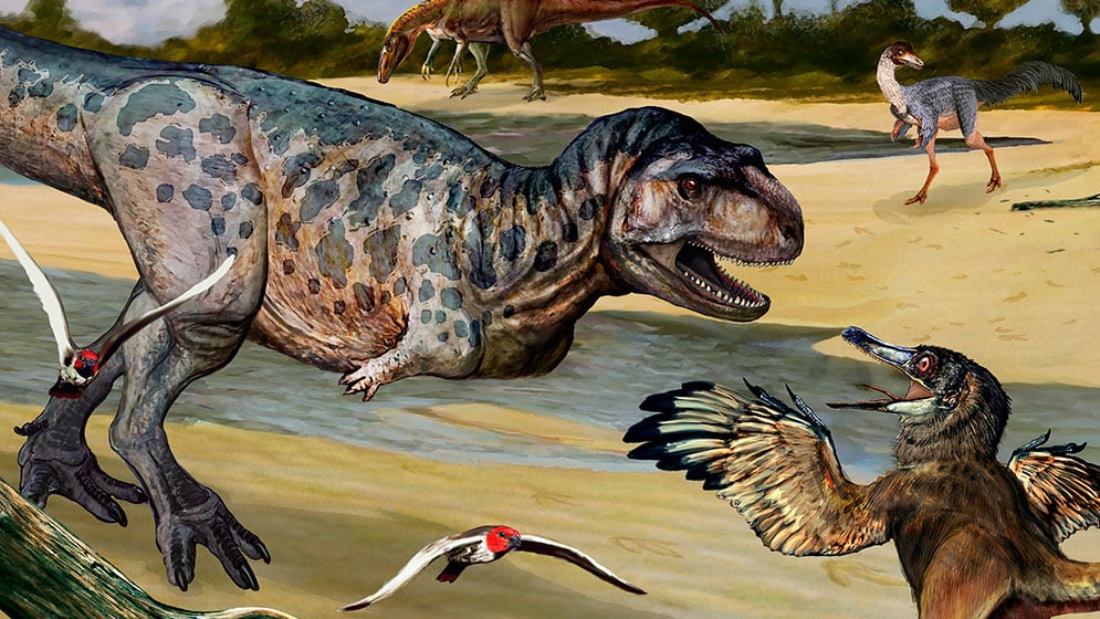 Miembros del CONICET descubrieron una nueva especie de dinosaurio carnívoro que habitó en Neuquén.