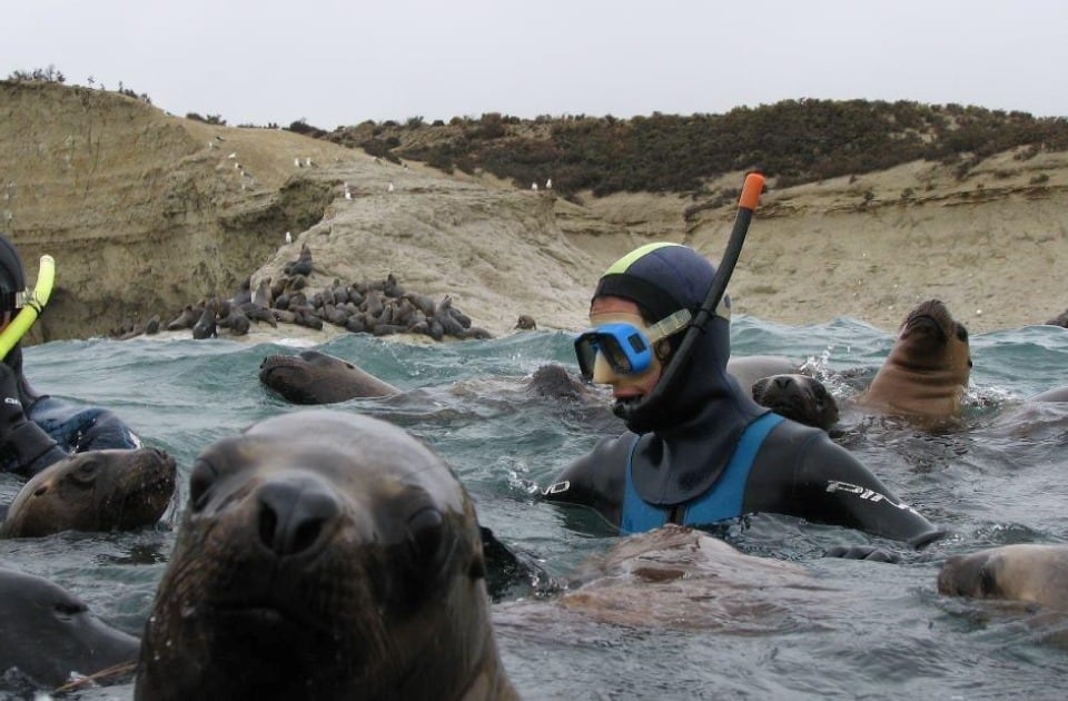 La mágica experiencia de encontrarse cara a cara con la naturaleza