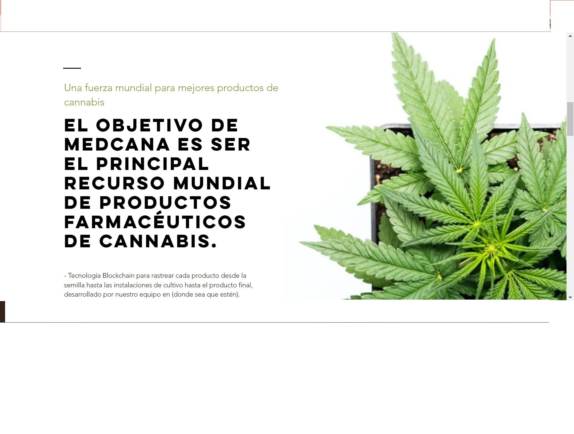 Empresa de cannabis