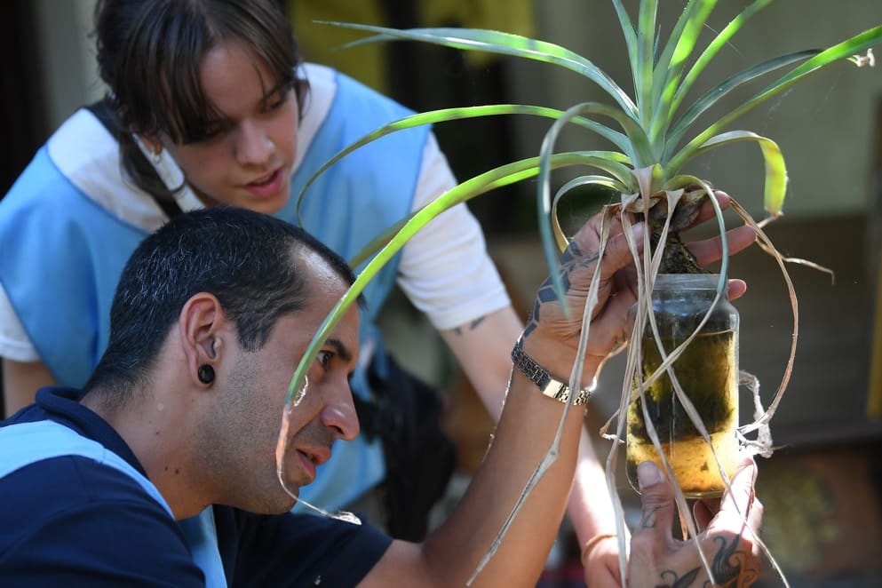 En la provincia de Córdoba ya se registraron 341 casos de dengue. (Gobierno de Córdoba)