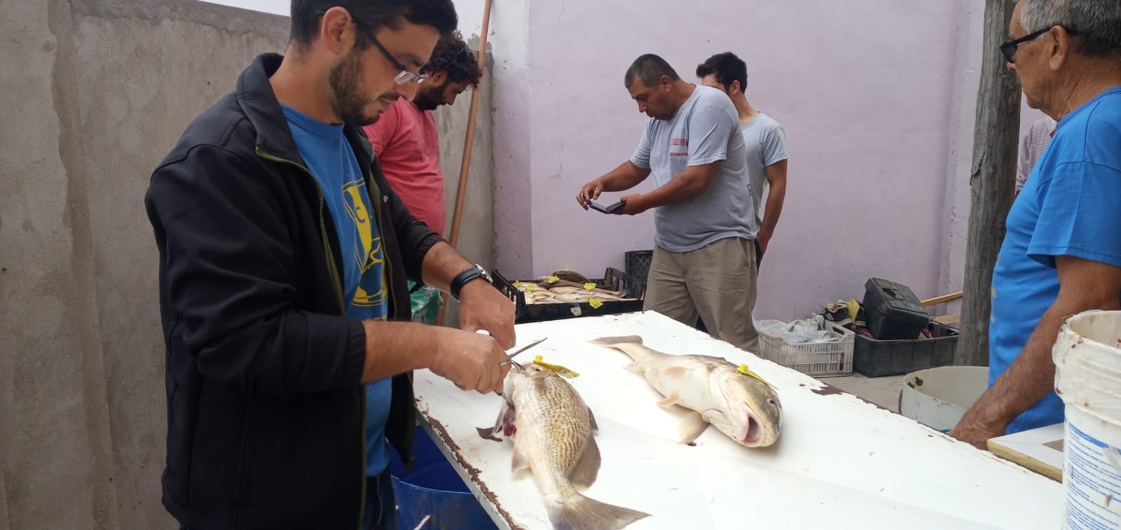 6 Horas a la Corvina de Mayor Peso del Club Recreativo Echegoyen