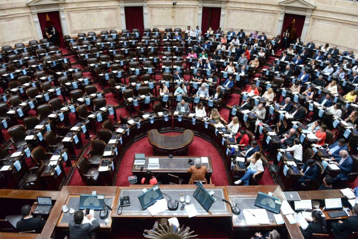 Ranking: quiénes fueron los diputados que más faltaron a las sesiones en 2022