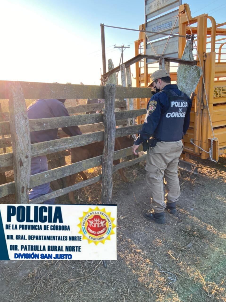 Animales recuperados en Zona Rural Marull