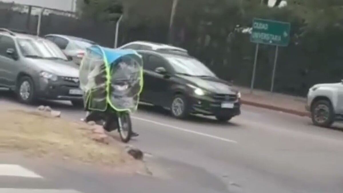 “¿Qué saben estos del frío?”: el diálogo viral entre dos cordobeses al ver una moto con un curioso protector