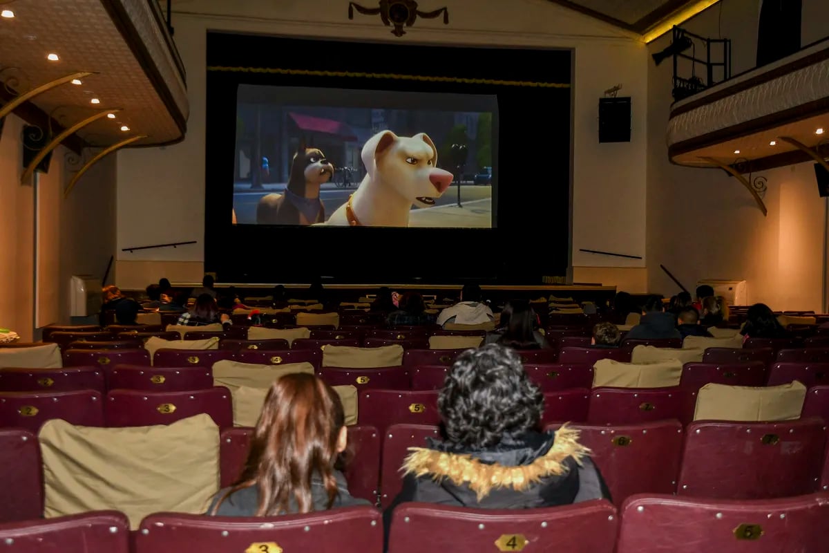 Argentina tuvo su primera función de cine para perros.