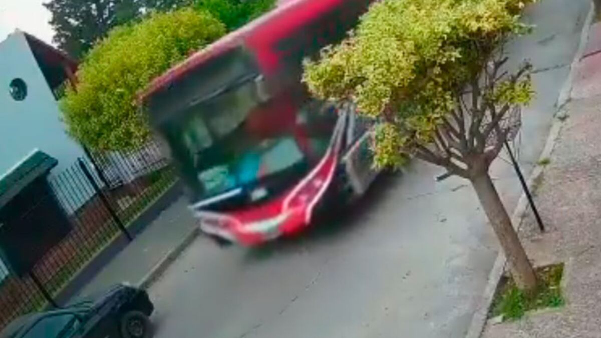 Robó un colectivo y lo chocó: el video que muestra cómo fue esta peligrosa travesura de un chico de 12 años