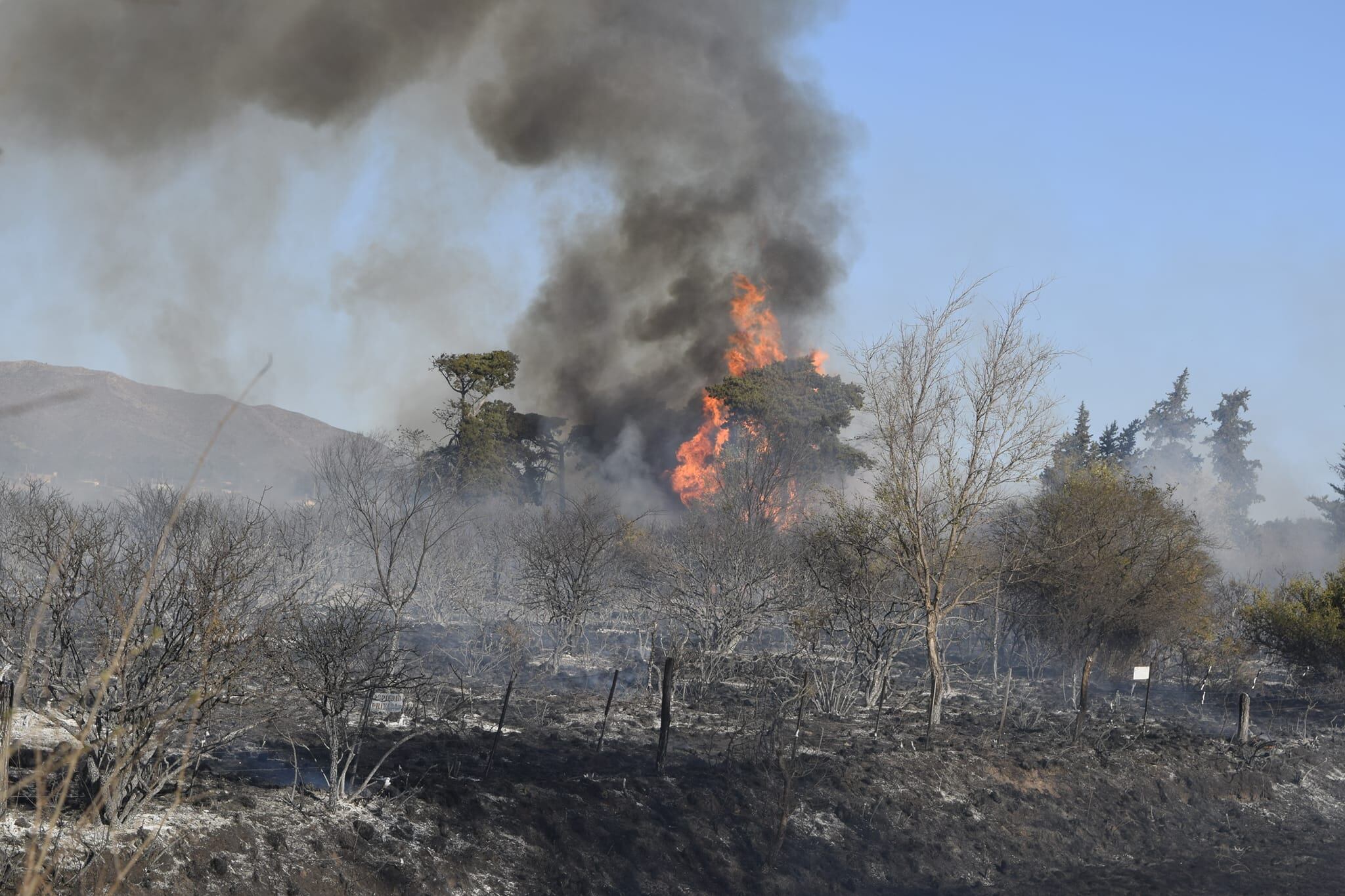 Trabajan cuarteles de bomberos voluntarios de Capilla del Monte, Los Cocos, Villa Giardino y La Falda, Cosquín, Valle Hermoso, Cruz del Eje y San Marcos Sierras.