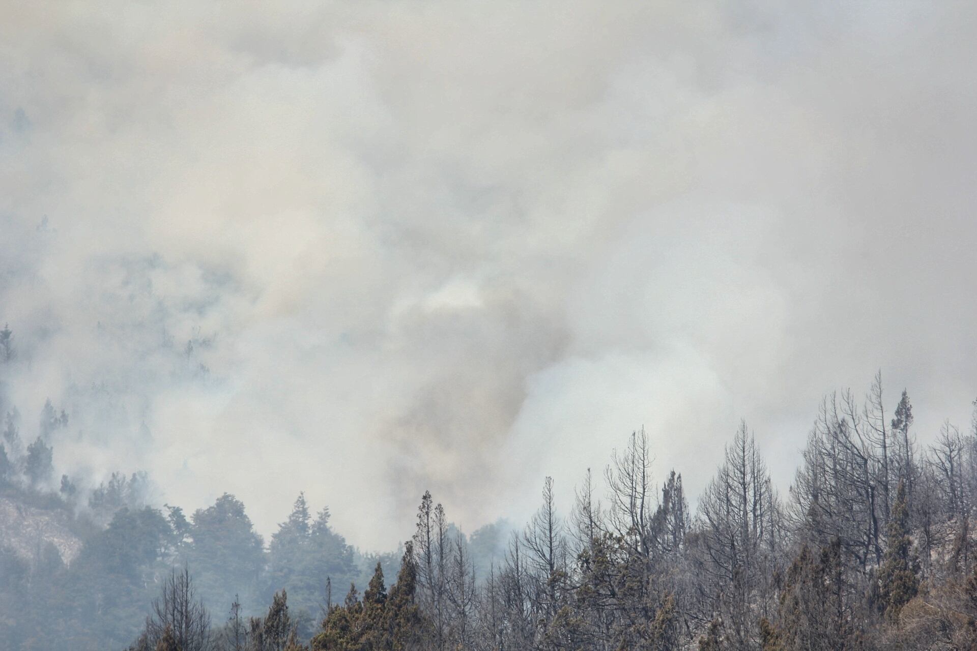 Incendio en El Bolsón.