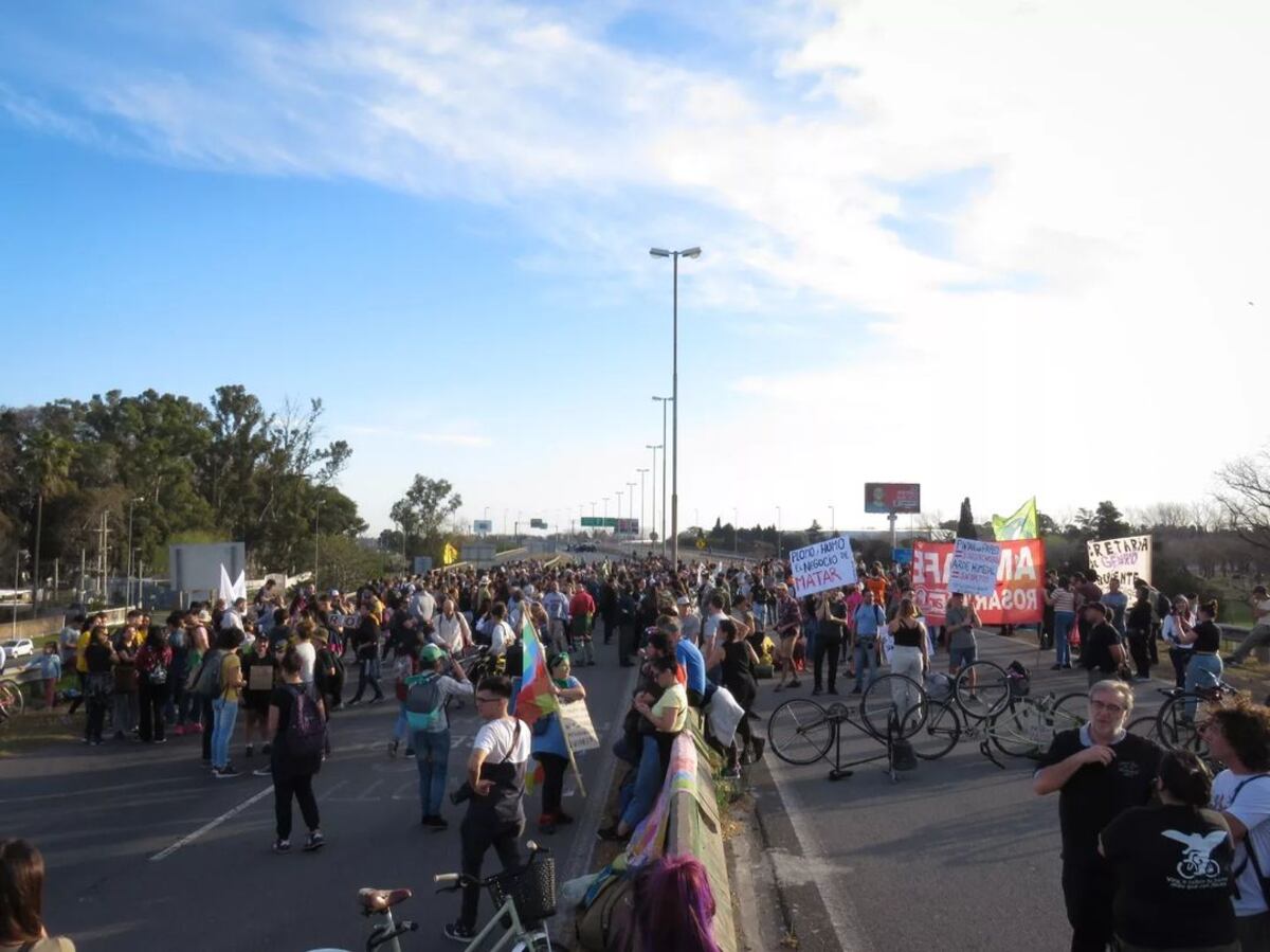 Con humo en las islas y cenizas en Rosario, cortaron el puente a Victoria