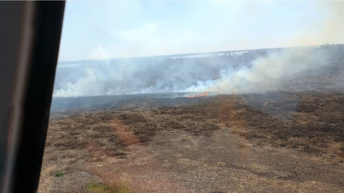 Tardarán varios días en apagar los incendios en las islas al sur de Rosario