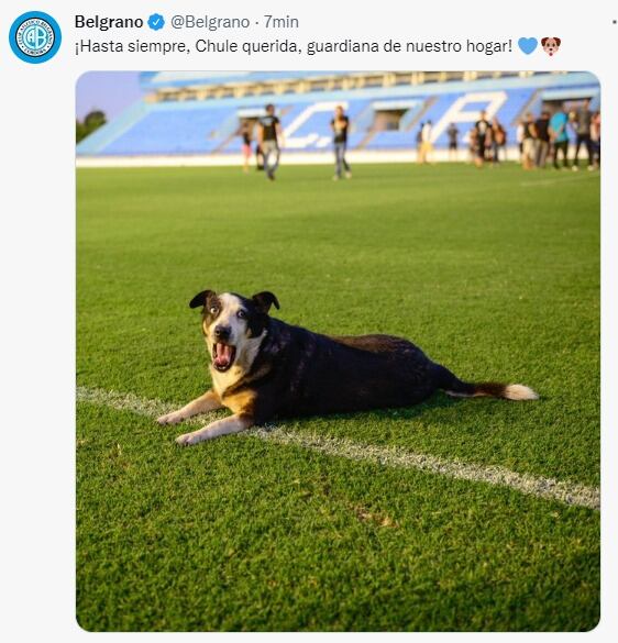 Chule, la guardiana del Gigante y muy querida en Belgrano.