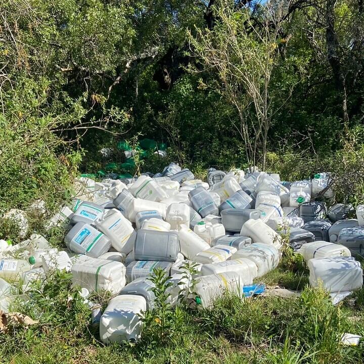 Las imágenes fueron tomadas por los vecinos que denunciaron la situación al municipio.