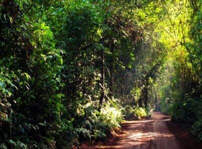 Puerto Iguazú: investigan el deceso de un joven Mbya.