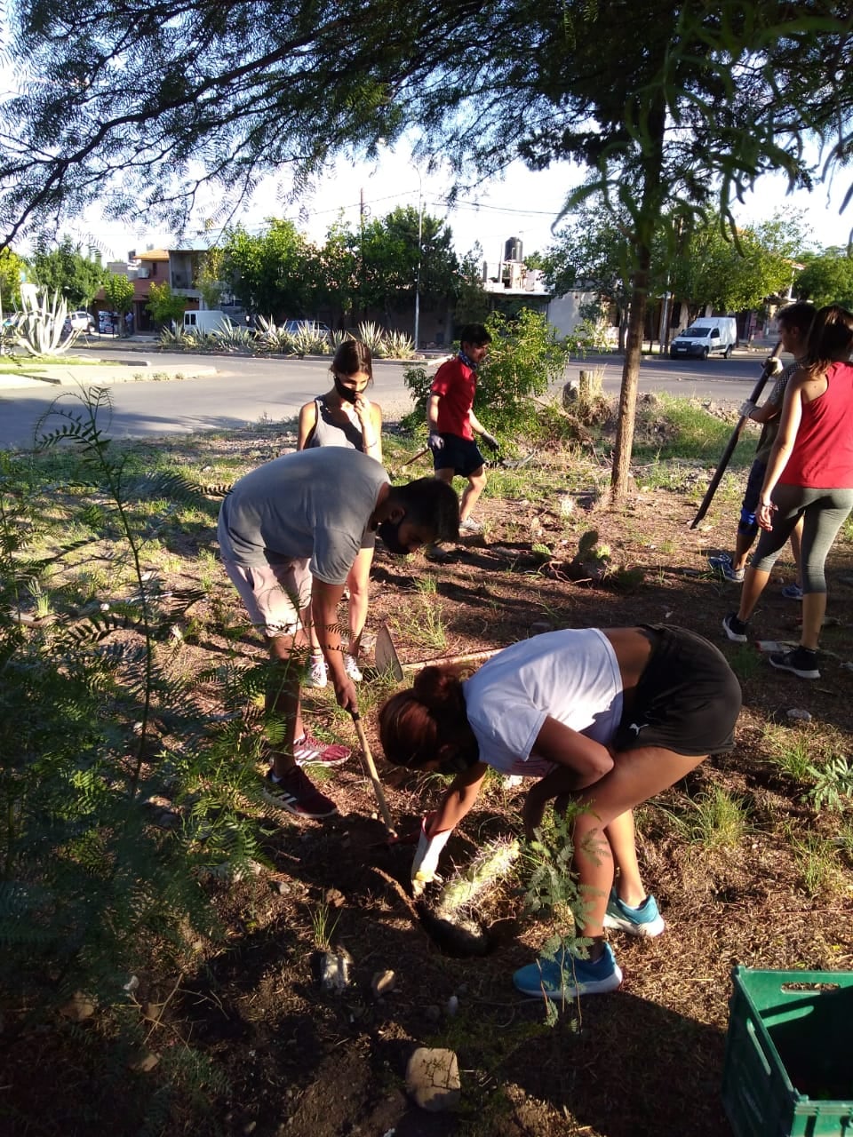 Realizaban la transplantación de flora autóctona.