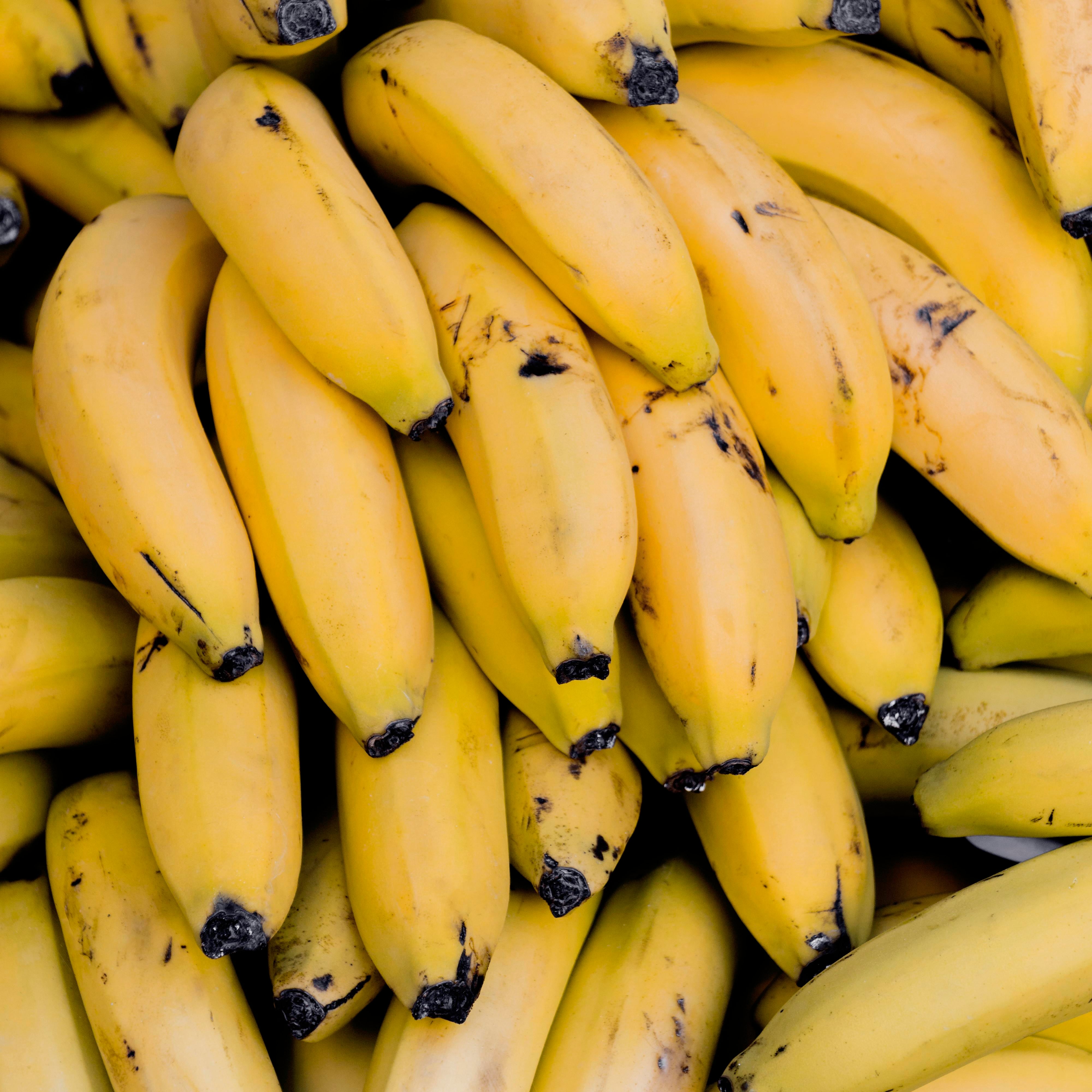 Los expertos indican que hay que evitar que las bananas sufran golpes y fricciones.