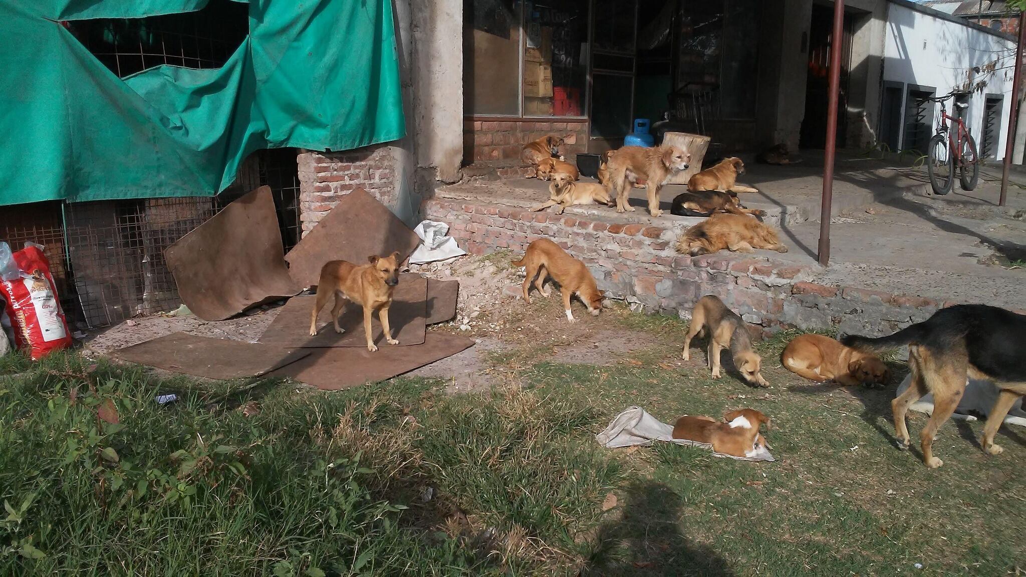 Proteccionistas de Gualeguaychú