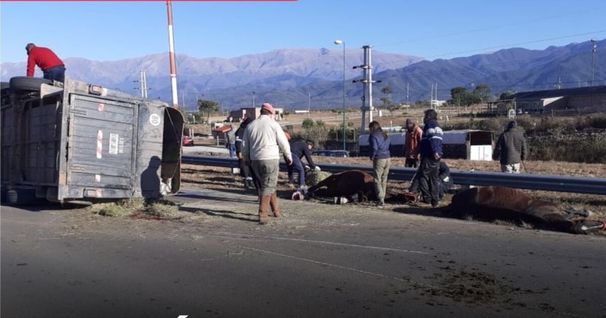 Murió un caballo tras volcar un tráiler en la Circunvalación Oeste