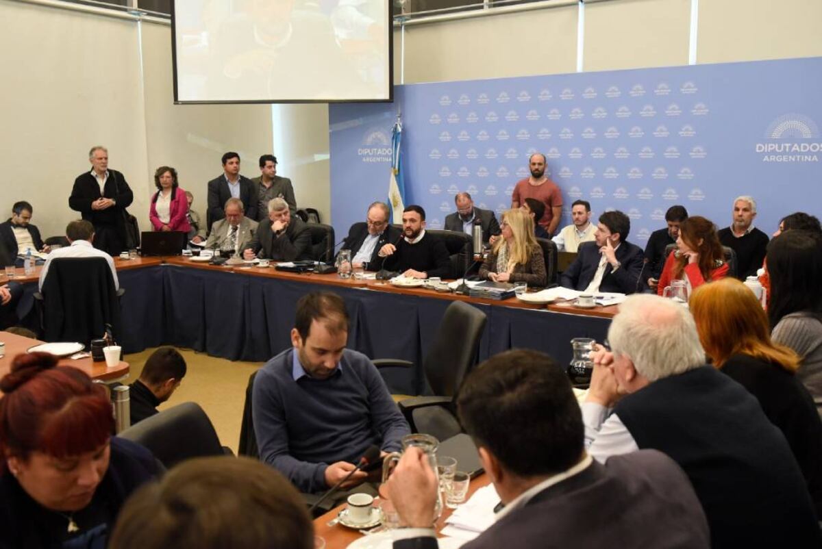 Ley de Humedales: Juntos por el Cambio logró que su dictamen obtenga la mayoría de los votos